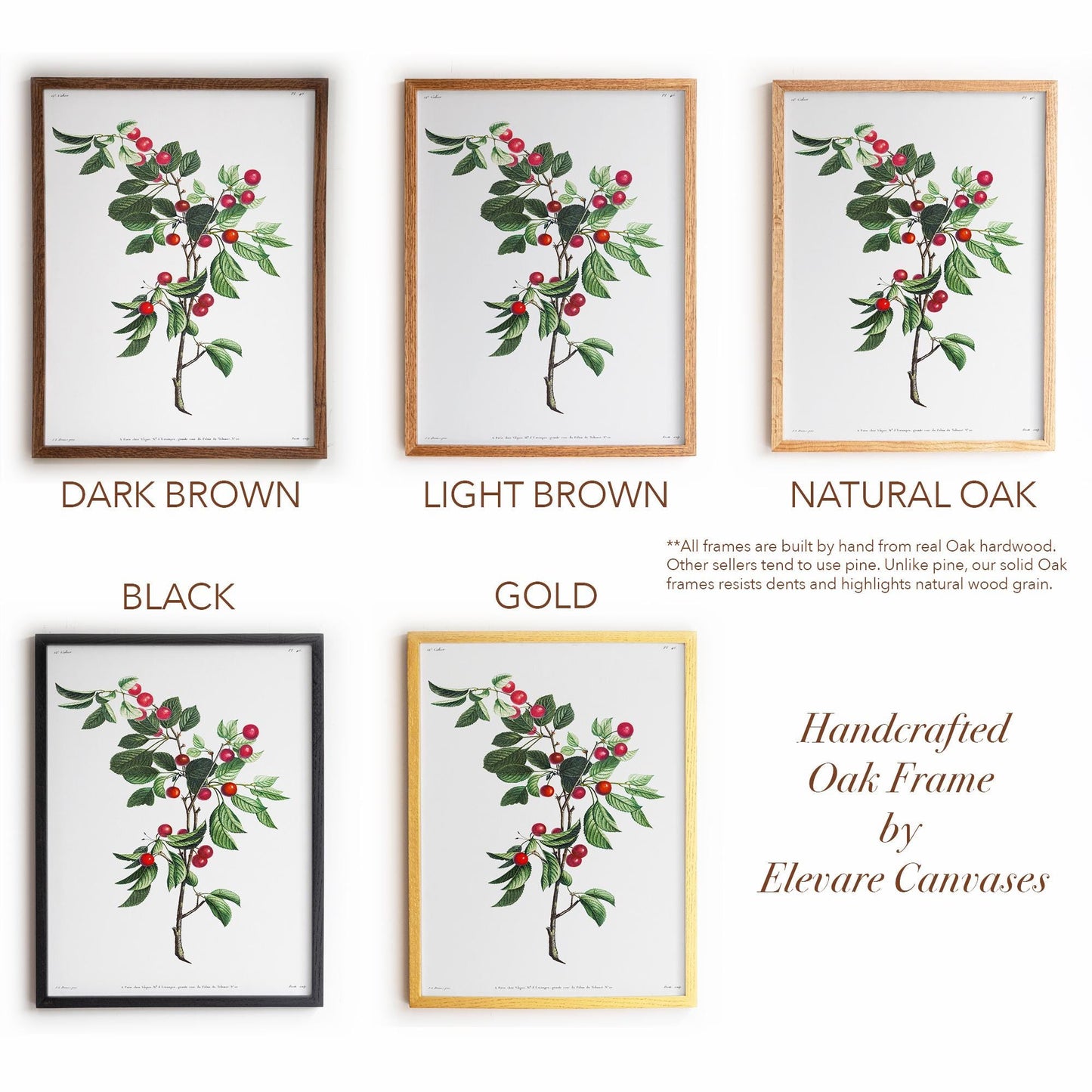 Cherry Botanical Illustration | Vintage Fruit Wall Art | Victorian Kitchen or Dining Room Decor | 2VP