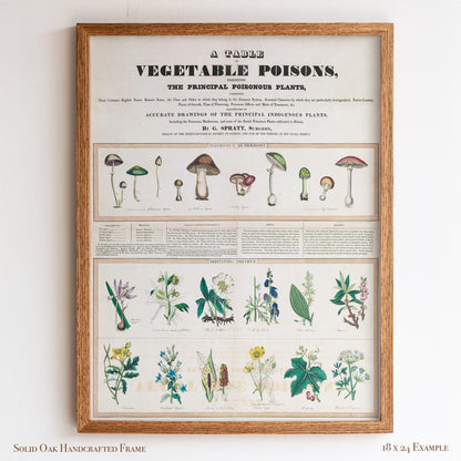 Vintage Botanical “Vegetable Poisons” Chart | Poisonous Plants & Mushrooms | Victorian Science Wall Art for Study or Library | 1VP