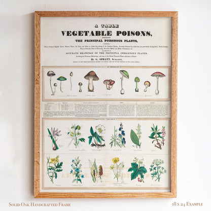 Vintage Botanical “Vegetable Poisons” Chart | Poisonous Plants & Mushrooms | Victorian Science Wall Art for Study or Library | 1VP