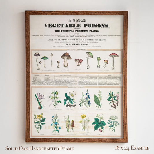 Vintage Botanical “Vegetable Poisons” Chart | Poisonous Plants & Mushrooms | Victorian Science Wall Art for Study or Library | 1VP