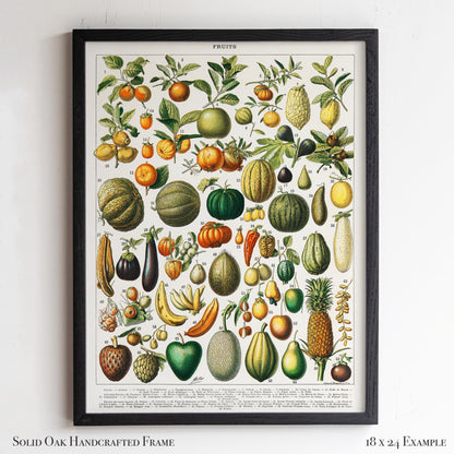 Vintage Fruit Chart | Antique Botanical Poster | Victorian Kitchen Wall Art for Pantry or Dining | 4VP