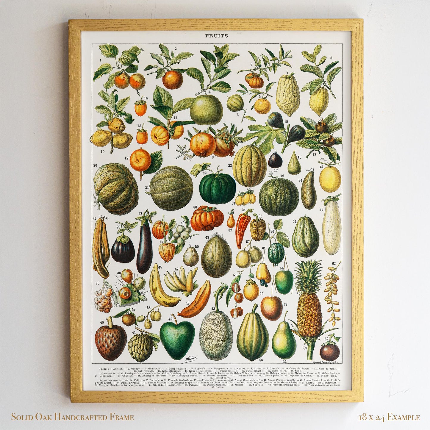 Vintage Fruit Chart | Antique Botanical Poster | Victorian Kitchen Wall Art for Pantry or Dining | 4VP