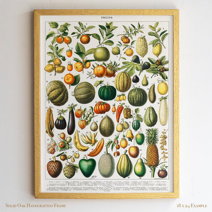 Vintage Fruit Chart | Antique Botanical Poster | Victorian Kitchen Wall Art for Pantry or Dining | 4VP
