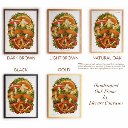 Vintage Moshroom Chart | Orange and Brown Fungi Print | Cottagecore Apothecary and Library Wall Art | 8VP