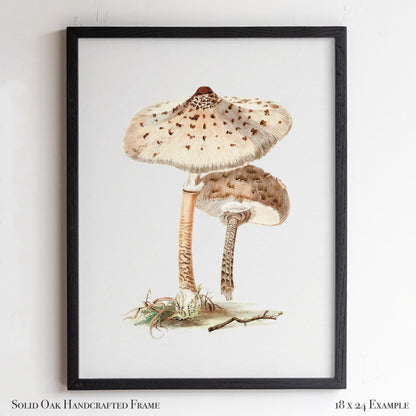 Neutral Mushroom Wall Art | Vintage Fungi Illustration | Woodland, Apothecary & Farmhouse Decor | 9VP