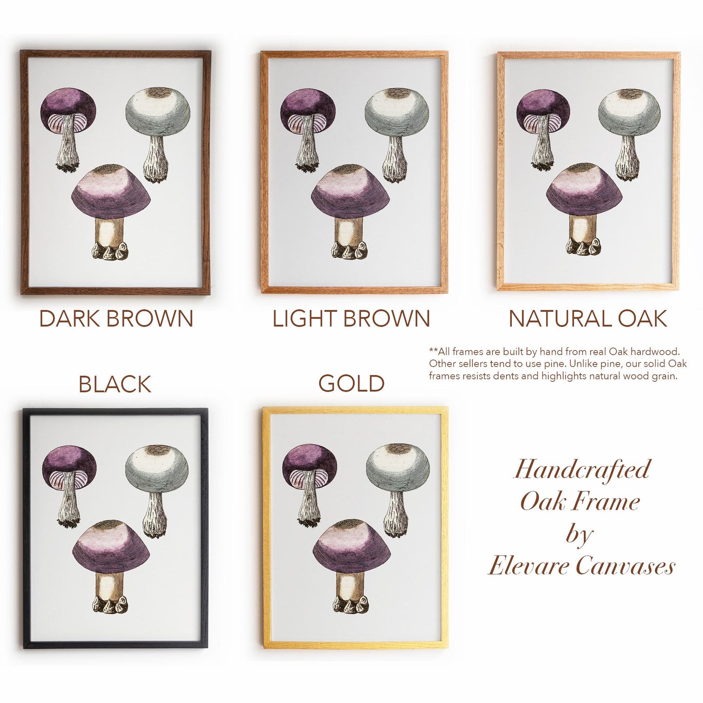 Purple Mushroom Illustration | Vintage Mycology Print | Victorian Kitchen or Study Decor | 10VP