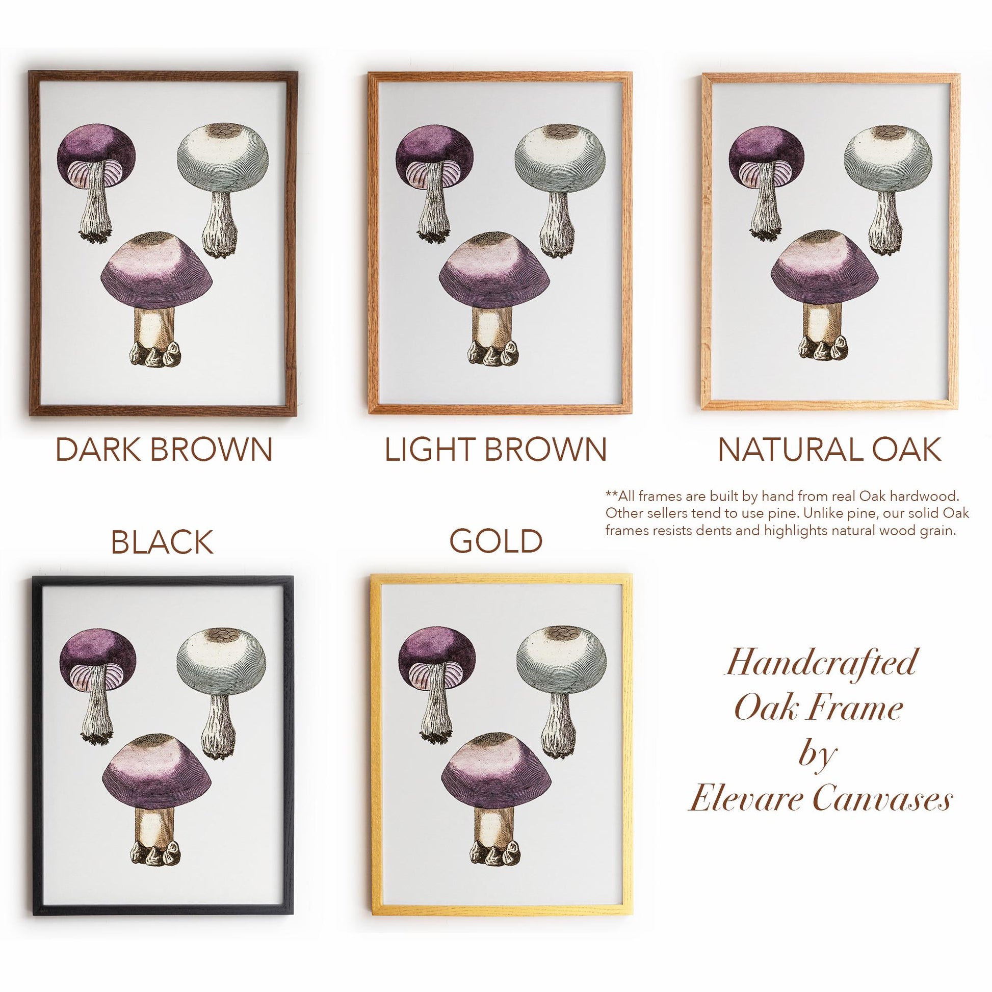 Purple Mushroom Illustration | Vintage Mycology Print | Victorian Kitchen or Study Decor | 10VP