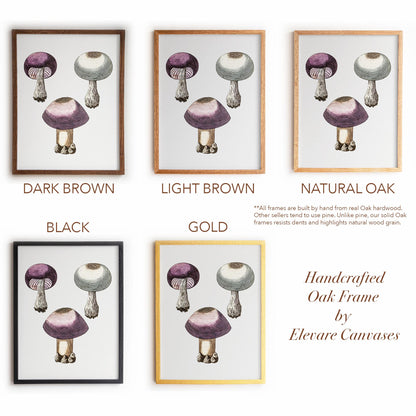 Purple Mushroom Illustration | Vintage Mycology Print | Victorian Kitchen or Study Decor | 10VP