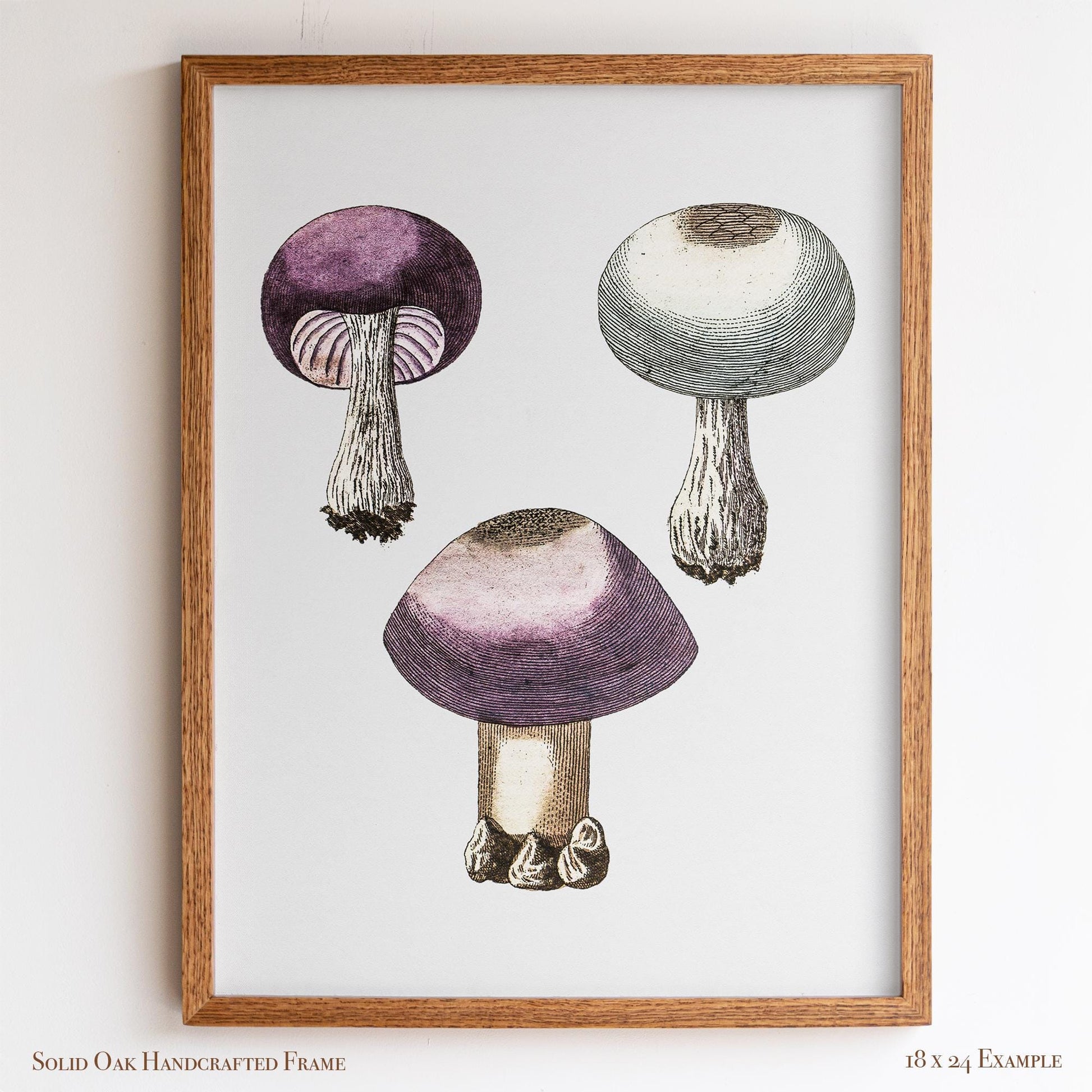 Purple Mushroom Illustration | Vintage Mycology Print | Victorian Kitchen or Study Decor | 10VP