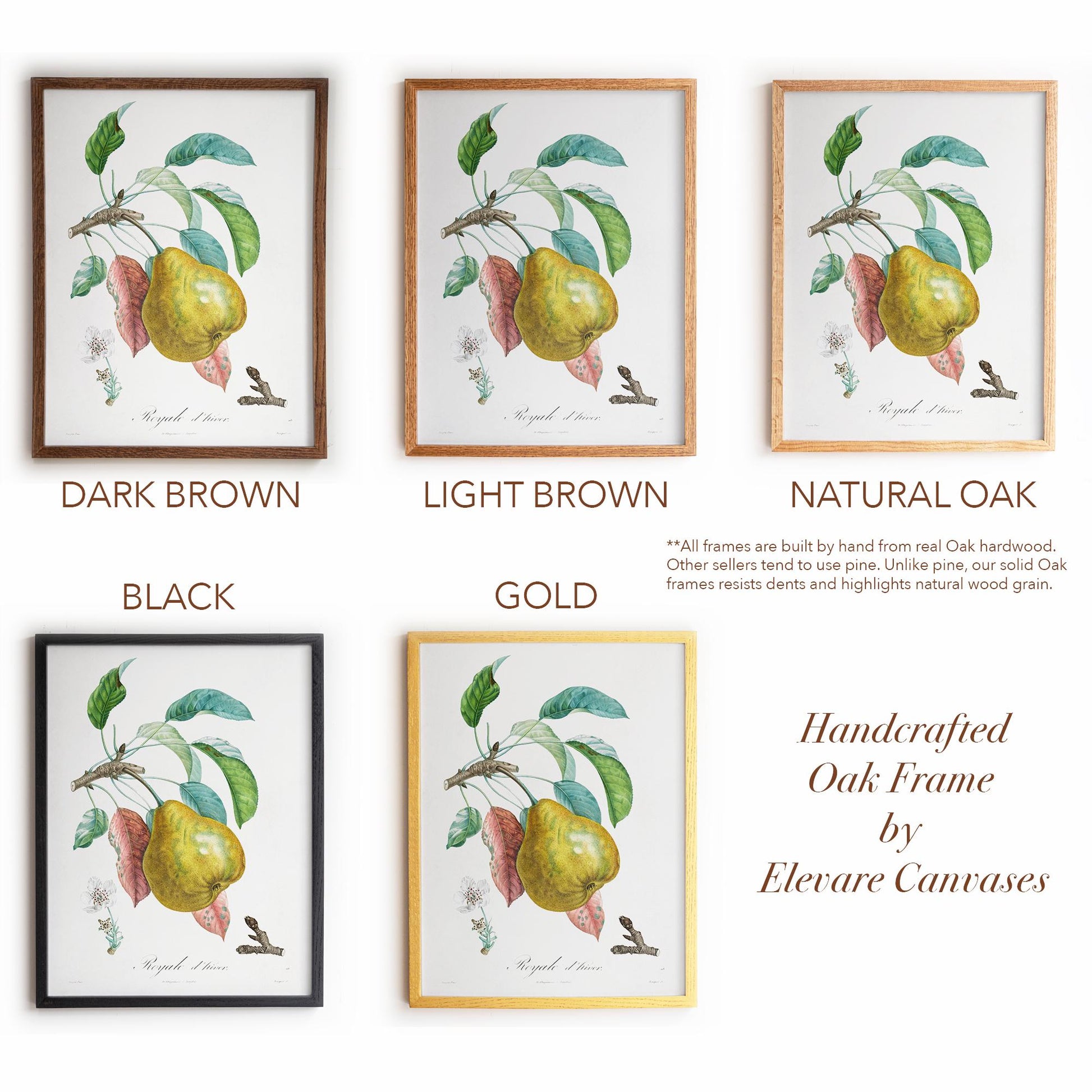 Vintage Pear “Royale d’hiver” | Botanical Fruit Poster | Cottagecore Pantry & Farmhouse Decor | 12VP