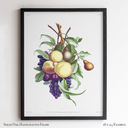 Vintage Fruit Botanical | Grapes, Peaches & Pears | French Kitchen or Dining Room Wall Art | 21VP