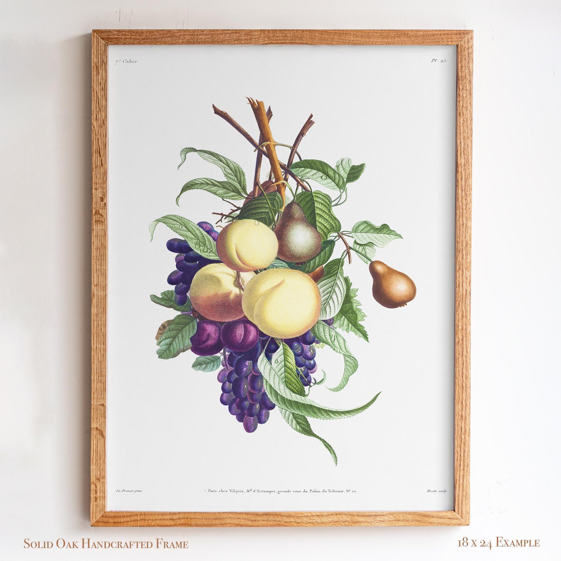 Vintage Fruit Botanical | Grapes, Peaches & Pears | French Kitchen or Dining Room Wall Art | 21VP