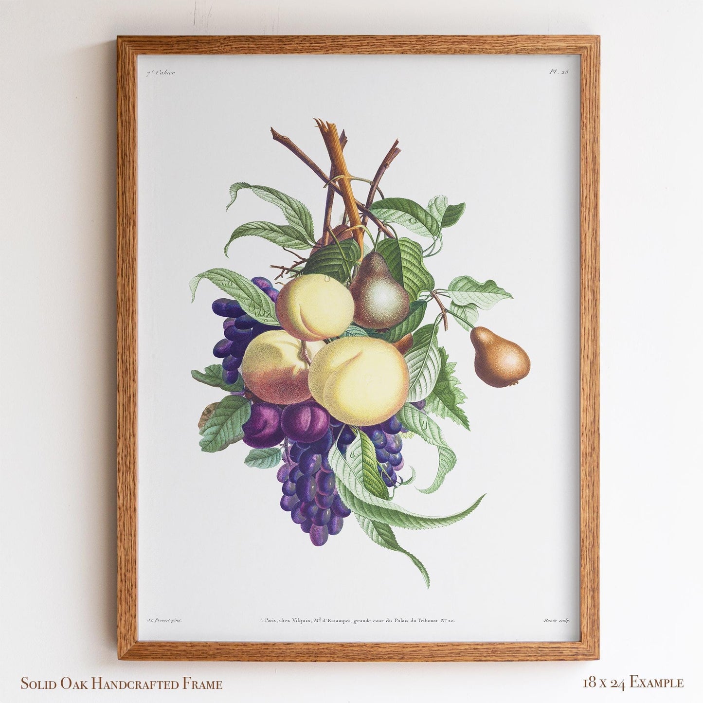 Vintage Fruit Botanical | Grapes, Peaches & Pears | French Kitchen or Dining Room Wall Art | 21VP