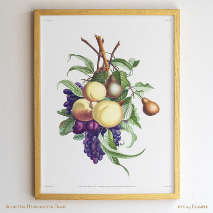 Vintage Fruit Botanical | Grapes, Peaches & Pears | French Kitchen or Dining Room Wall Art | 21VP