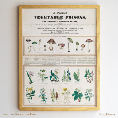 Vintage Botanical “Vegetable Poisons” Chart | Poisonous Plants & Mushrooms | Victorian Science Wall Art for Study or Library | 1VP