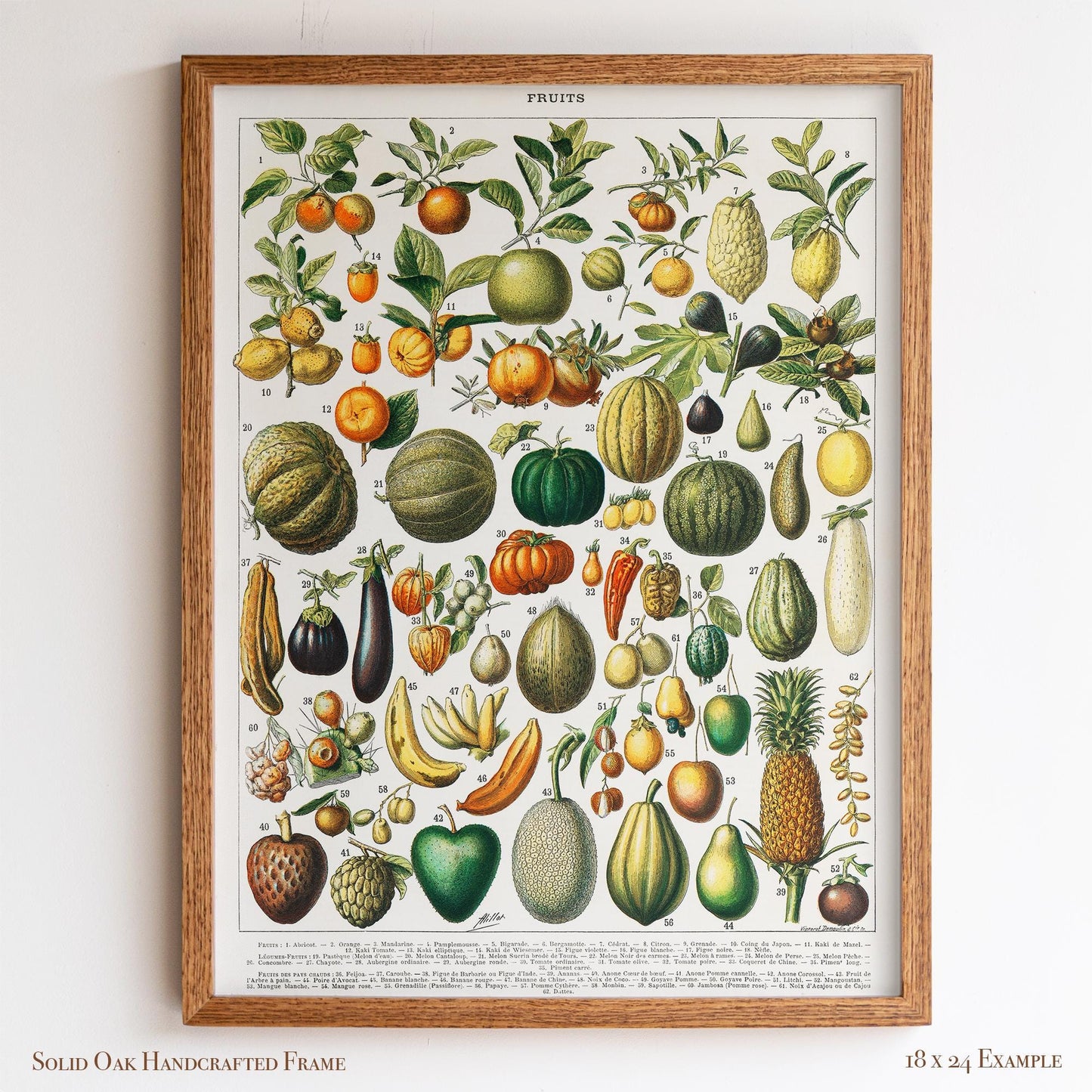 Vintage Fruit Chart | Antique Botanical Poster | Victorian Kitchen Wall Art for Pantry or Dining | 4VP