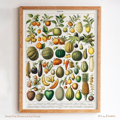 Vintage Fruit Chart | Antique Botanical Poster | Victorian Kitchen Wall Art for Pantry or Dining | 4VP