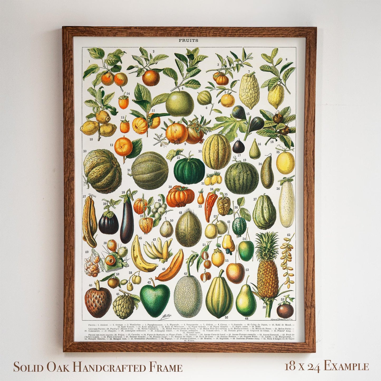 Vintage Fruit Chart | Antique Botanical Poster | Victorian Kitchen Wall Art for Pantry or Dining | 4VP