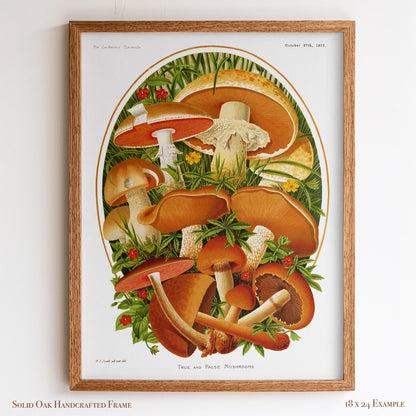 Vintage Moshroom Chart | Orange and Brown Fungi Print | Cottagecore Apothecary and Library Wall Art | 8VP