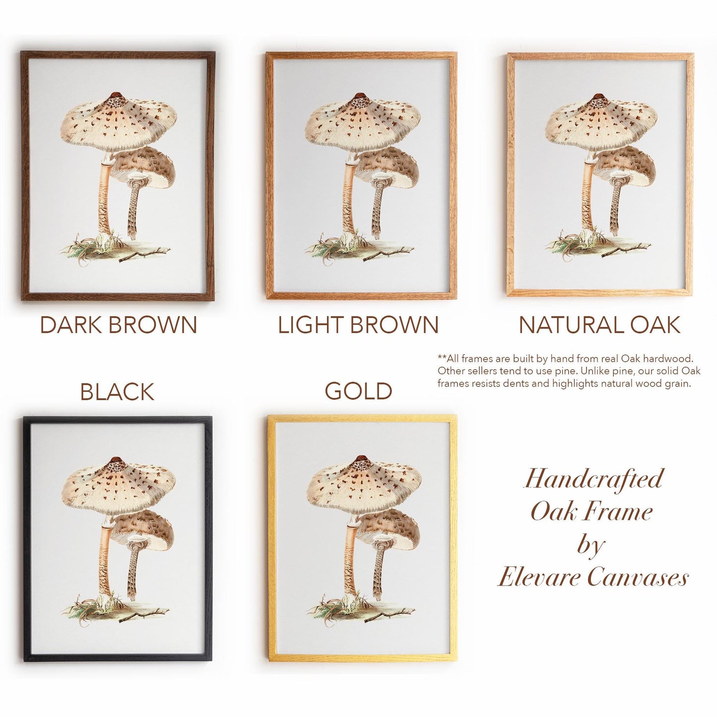 Neutral Mushroom Wall Art | Vintage Fungi Illustration | Woodland, Apothecary & Farmhouse Decor | 9VP