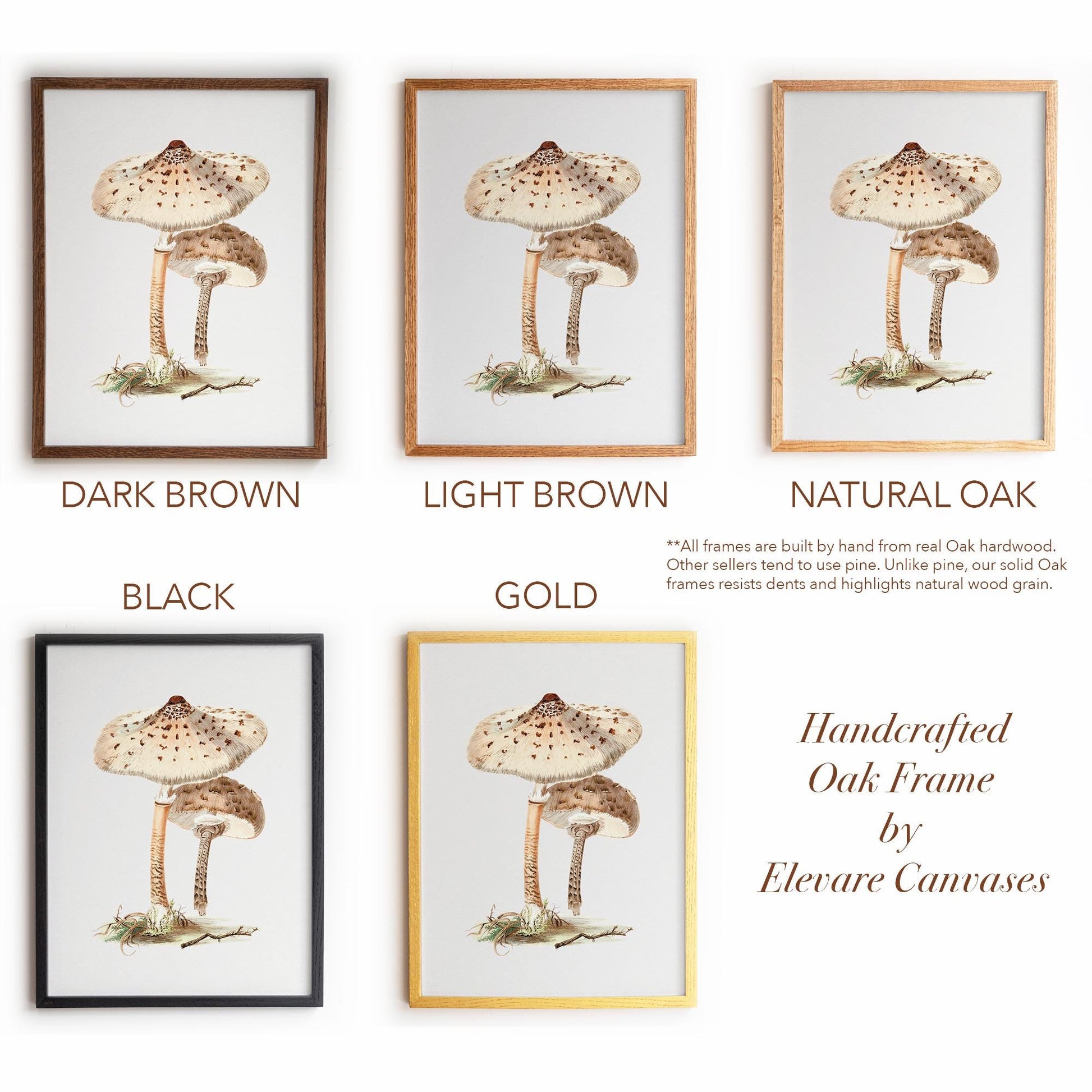 Neutral Mushroom Wall Art | Vintage Fungi Illustration | Woodland, Apothecary & Farmhouse Decor | 9VP