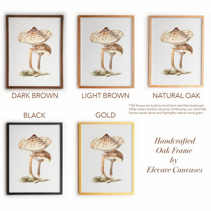 Neutral Mushroom Wall Art | Vintage Fungi Illustration | Woodland, Apothecary & Farmhouse Decor | 9VP