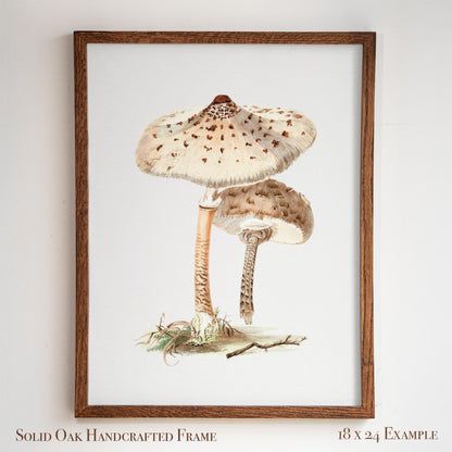 Neutral Mushroom Wall Art | Vintage Fungi Illustration | Woodland, Apothecary & Farmhouse Decor | 9VP