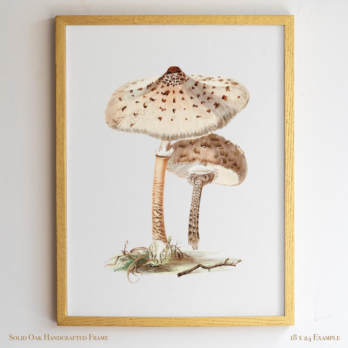 Neutral Mushroom Wall Art | Vintage Fungi Illustration | Woodland, Apothecary & Farmhouse Decor | 9VP