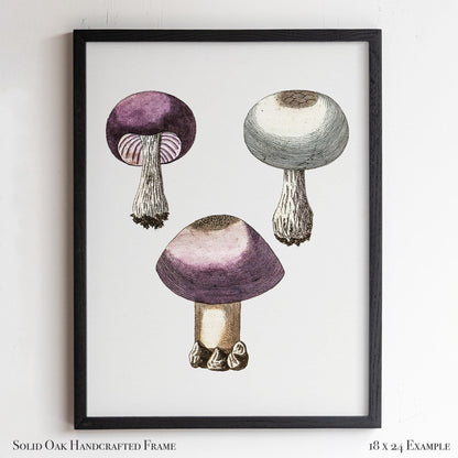 Purple Mushroom Illustration | Vintage Mycology Print | Victorian Kitchen or Study Decor | 10VP