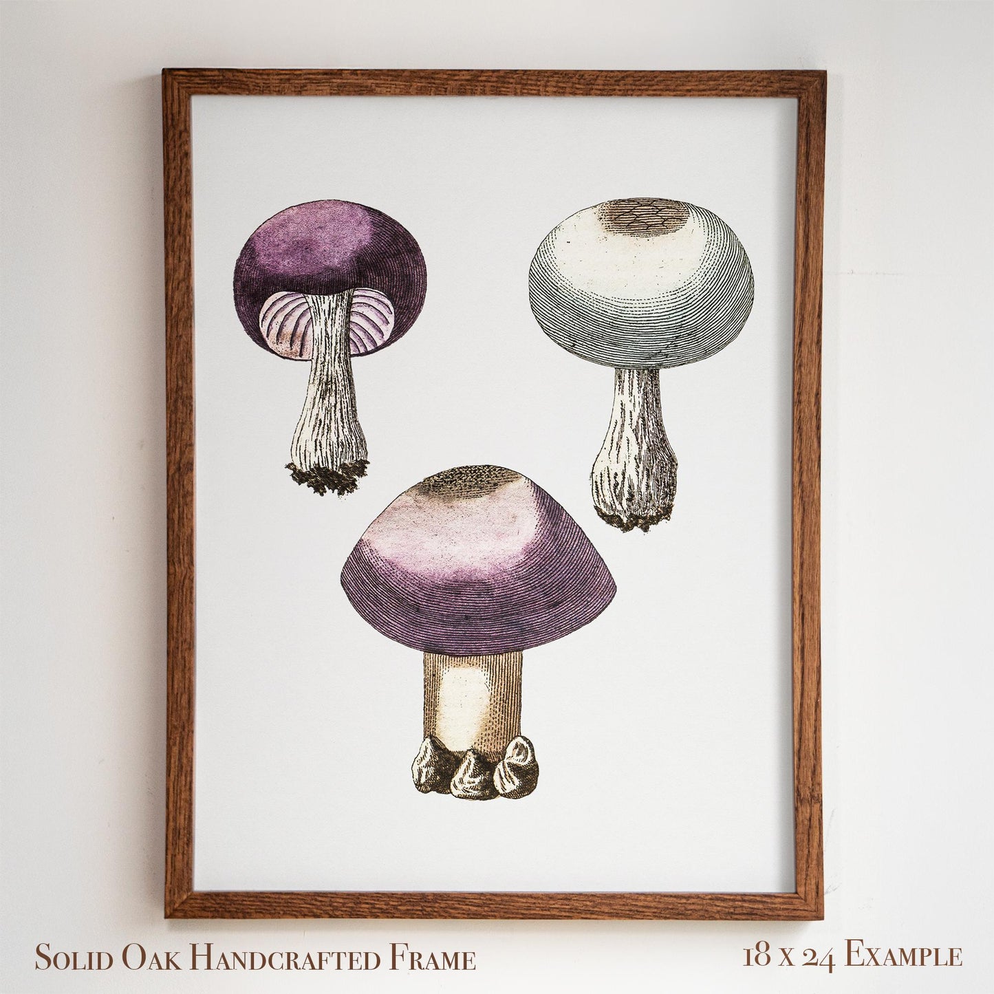 Purple Mushroom Illustration | Vintage Mycology Print | Victorian Kitchen or Study Decor | 10VP