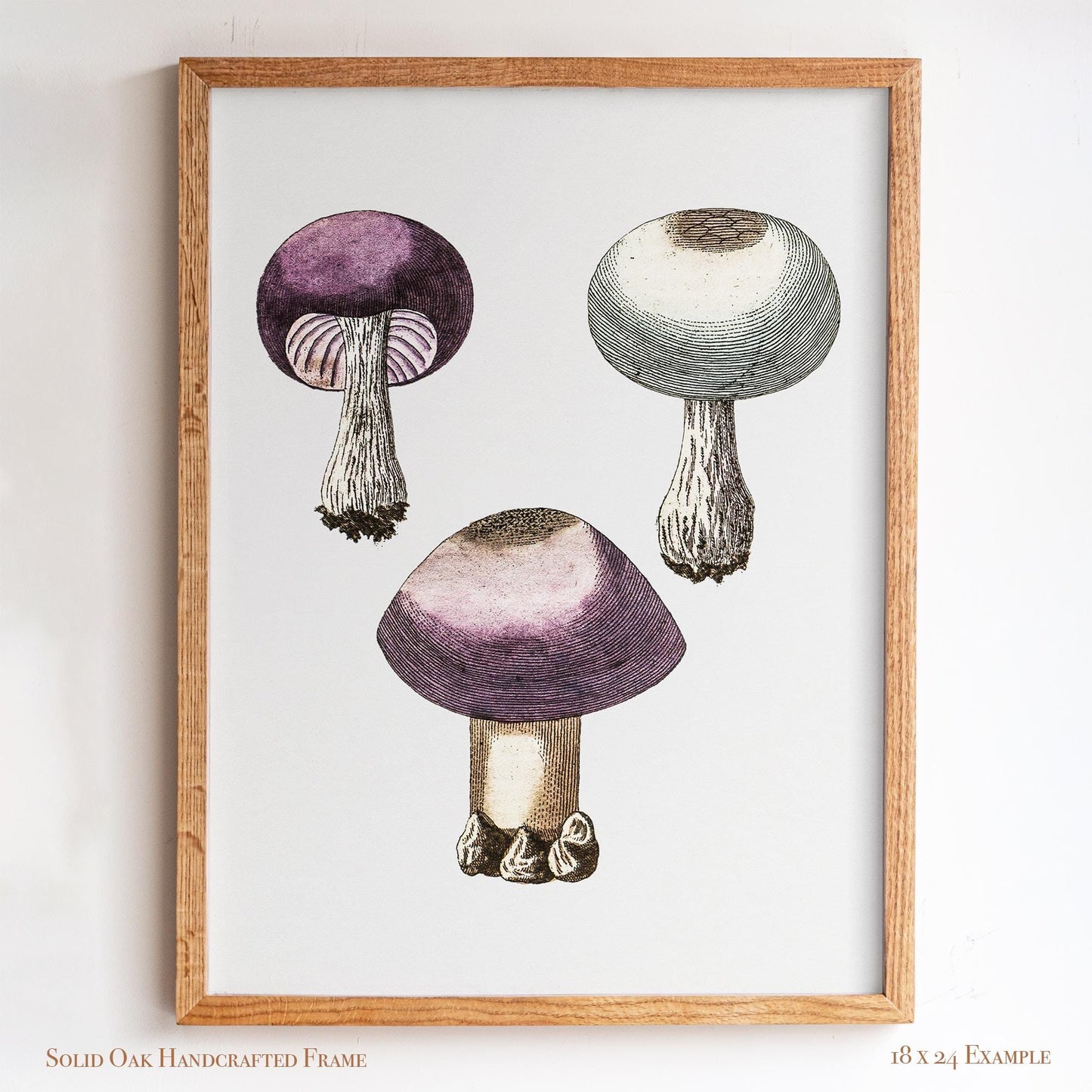 Purple Mushroom Illustration | Vintage Mycology Print | Victorian Kitchen or Study Decor | 10VP