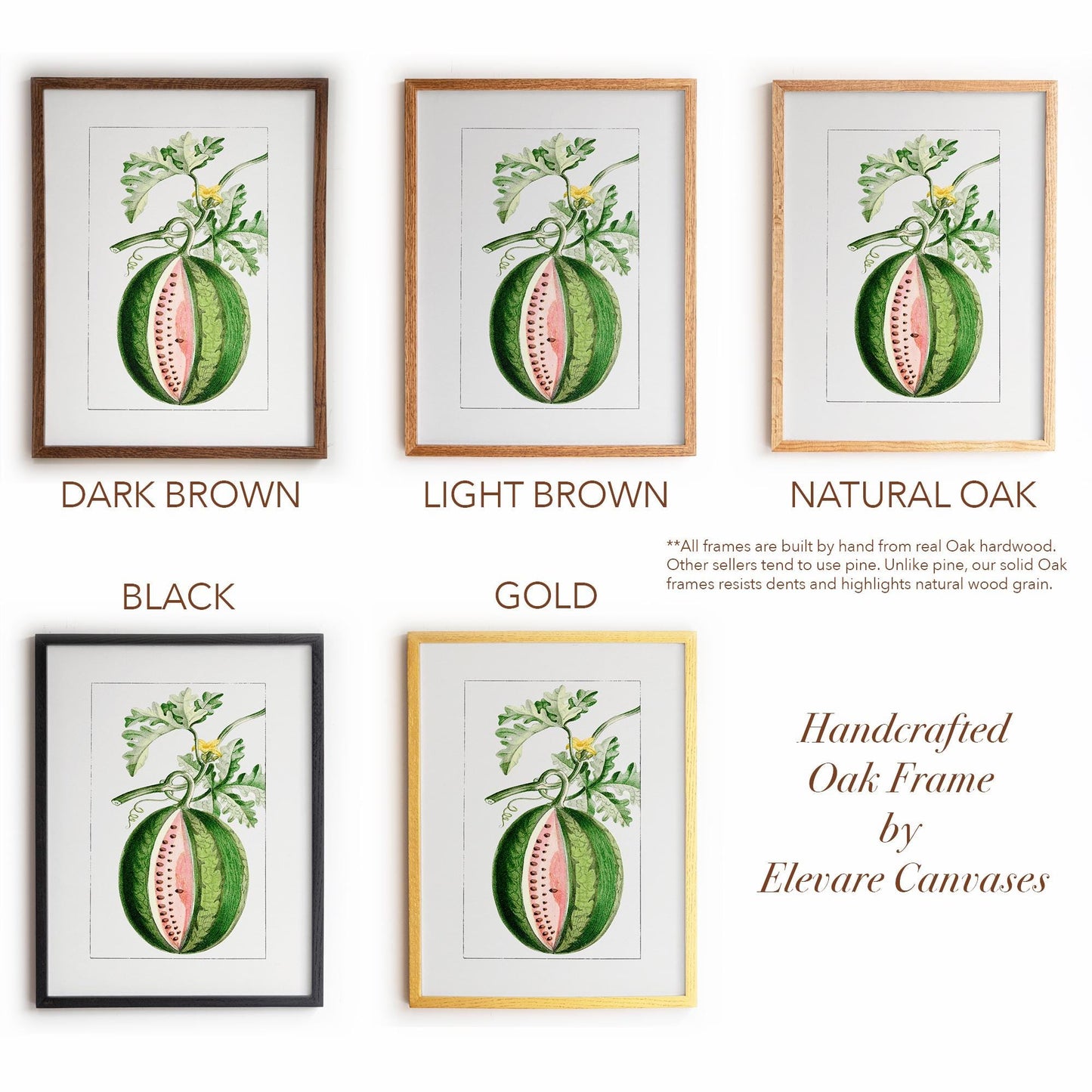 Watermelon Vintage Botanical Illustration | Antique Fruit Drawing Print | Victorian Kitchen Wall Art | 14VP