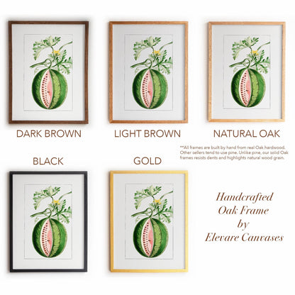 Watermelon Vintage Botanical Illustration | Antique Fruit Drawing Print | Victorian Kitchen Wall Art | 14VP