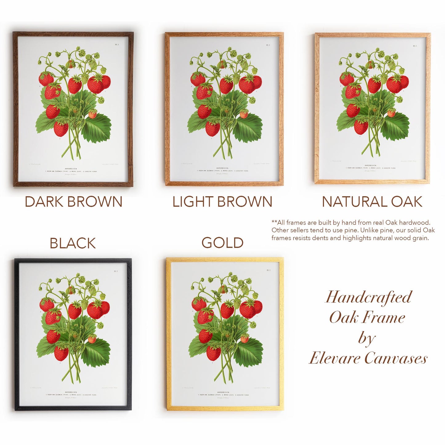 Antique Dutch Strawberry Plant | Vintage Pomology Botanical Poster | Cottagecore Pantry Decor | 15VP