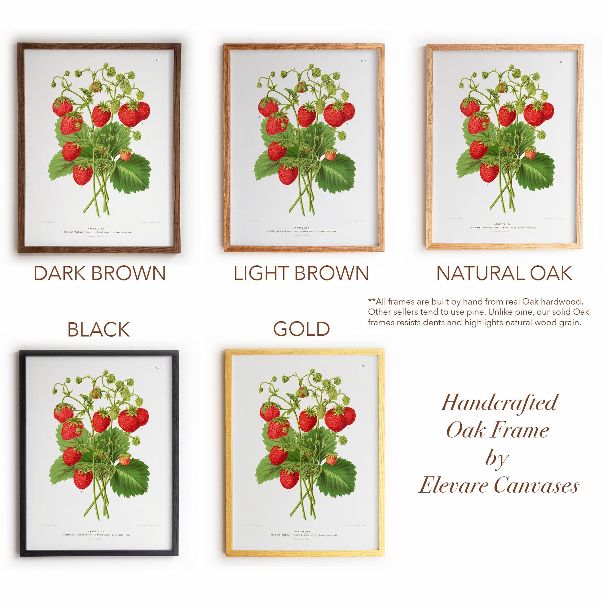 Antique Dutch Strawberry Plant | Vintage Pomology Botanical Poster | Cottagecore Pantry Decor | 15VP