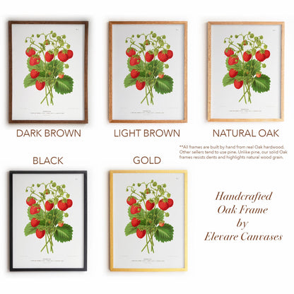 Antique Dutch Strawberry Plant | Vintage Pomology Botanical Poster | Cottagecore Pantry Decor | 15VP