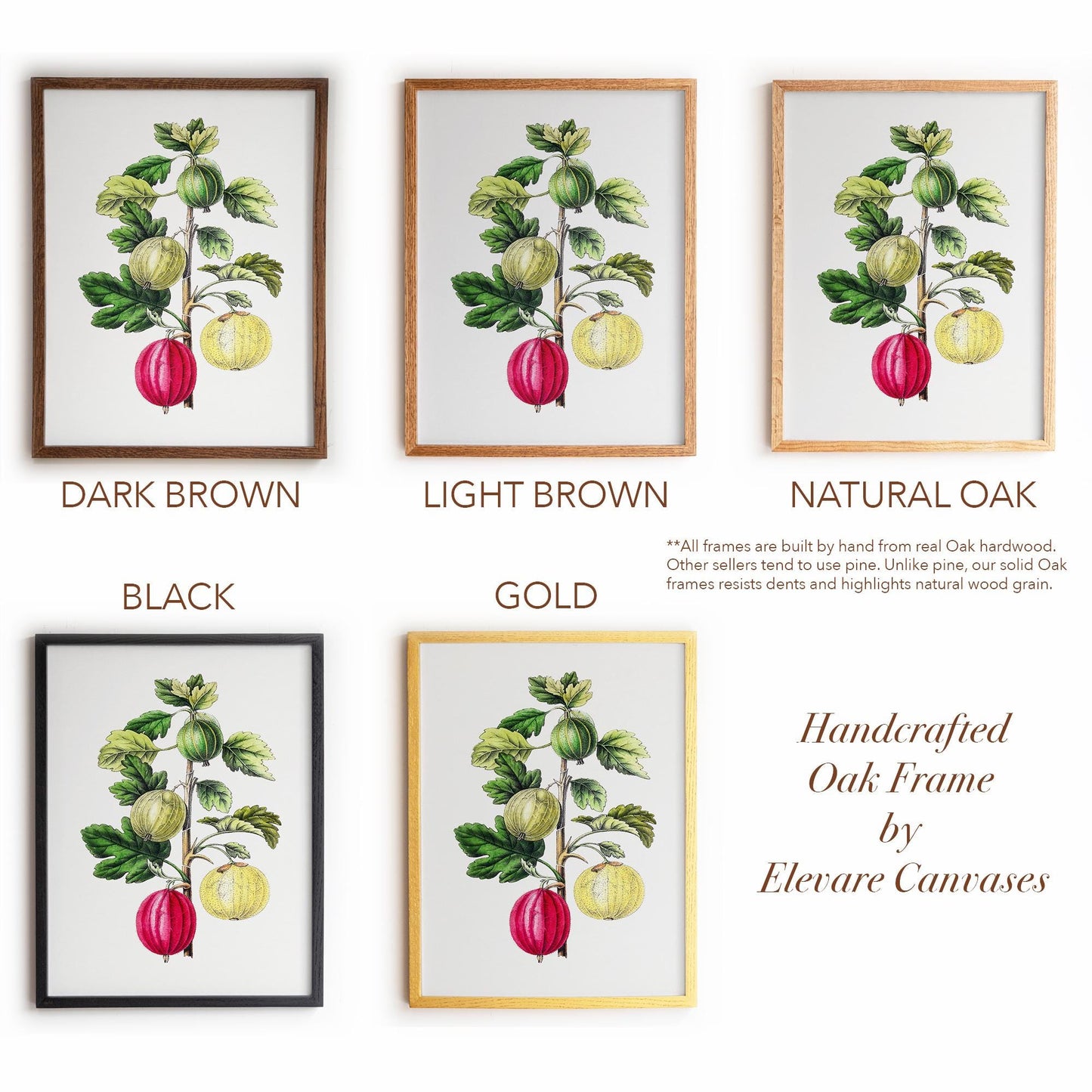 Vintage Gooseberry Branch Drawing | Antique Pomology Botanical Poster | Cottagecore & Farmhouse Kitchen Decor | 20VP