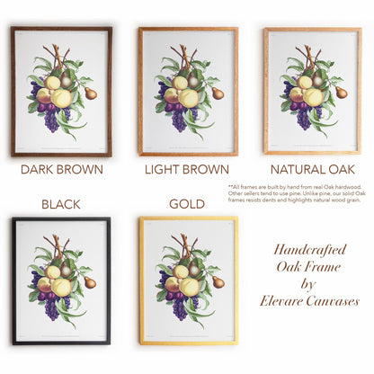 Vintage Fruit Botanical | Grapes, Peaches & Pears | French Kitchen or Dining Room Wall Art | 21VP