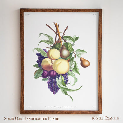 Vintage Fruit Botanical | Grapes, Peaches & Pears | French Kitchen or Dining Room Wall Art | 21VP