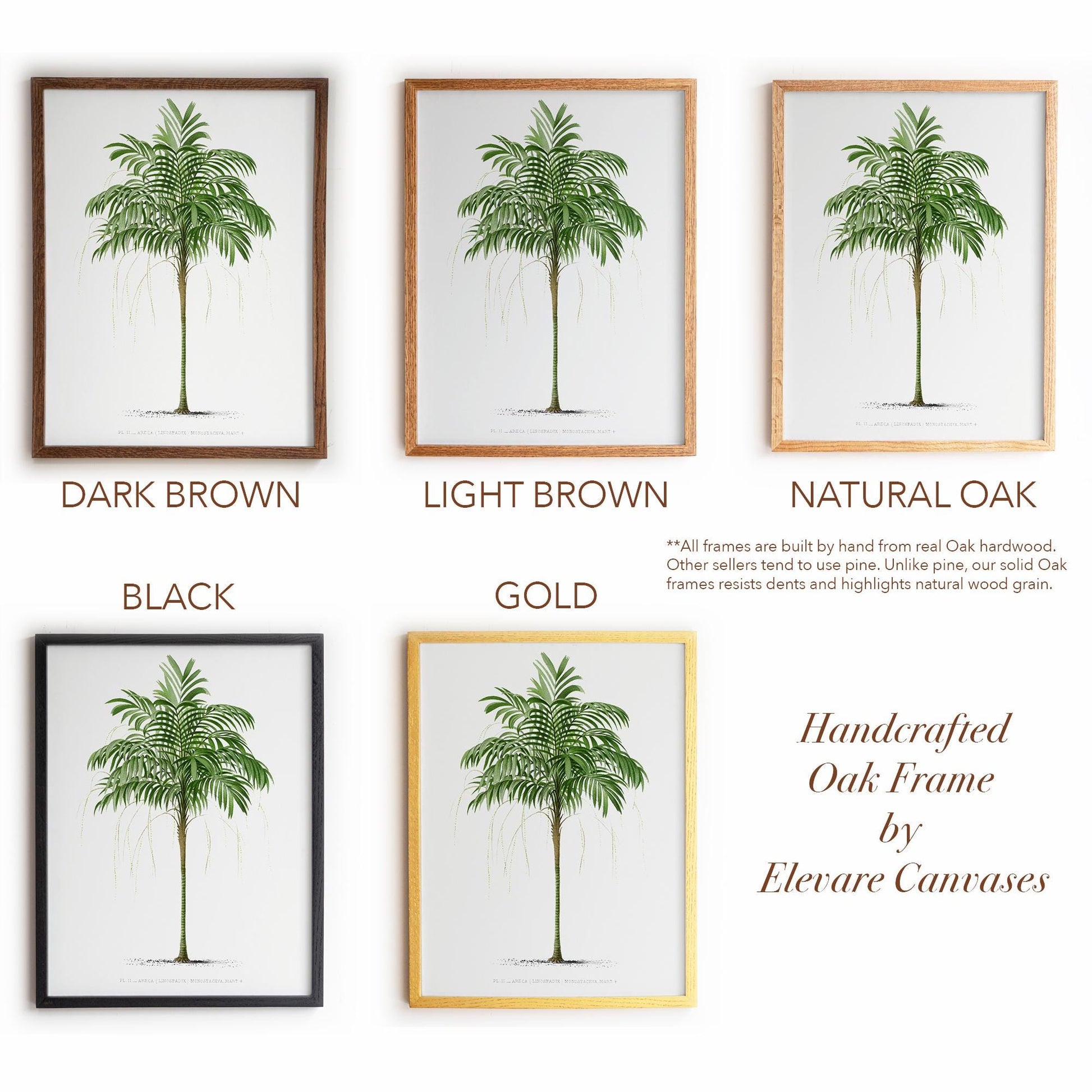 Vintage Palm Tree Poster | Antique Tropical Plant Print | Beach House, Bathroom, or Bedroom Decor | 24VP