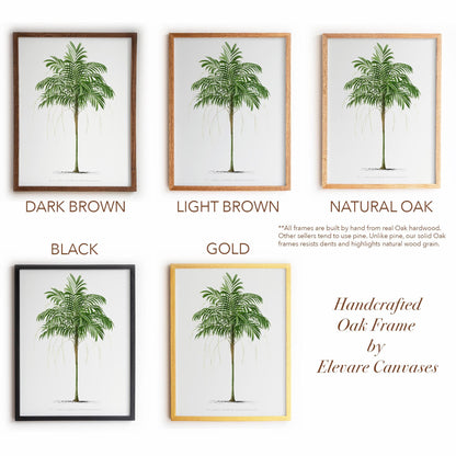 Vintage Palm Tree Poster | Antique Tropical Plant Print | Beach House, Bathroom, or Bedroom Decor | 24VP