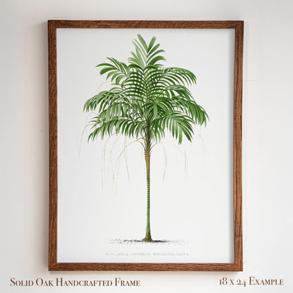 Vintage Palm Tree Poster | Antique Tropical Plant Print | Beach House, Bathroom, or Bedroom Decor | 24VP