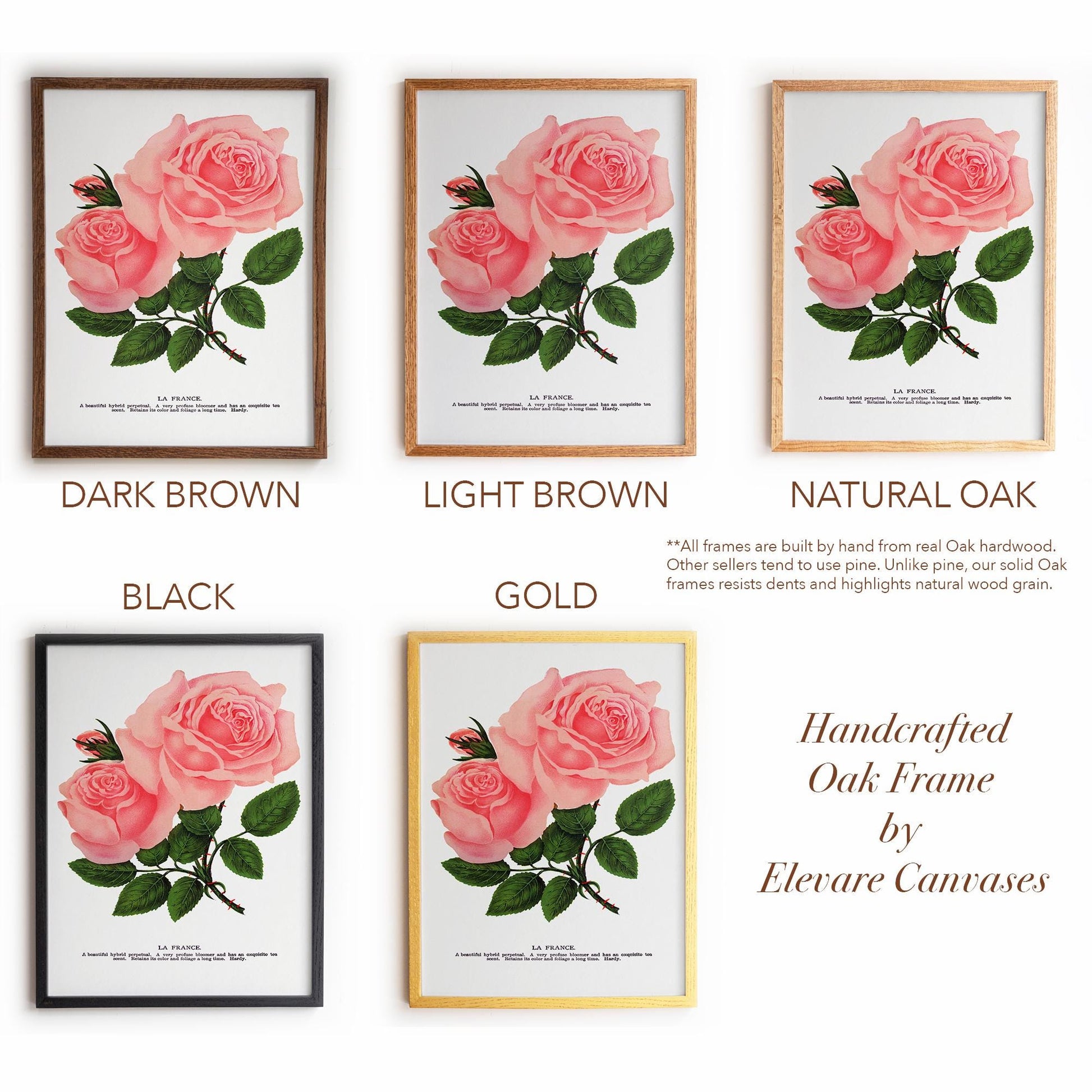 Pink Rose Botanical Illustration | “La France” Vintage Floral Print | Victorian Bedroom or Living Room Wall Art | 25VP