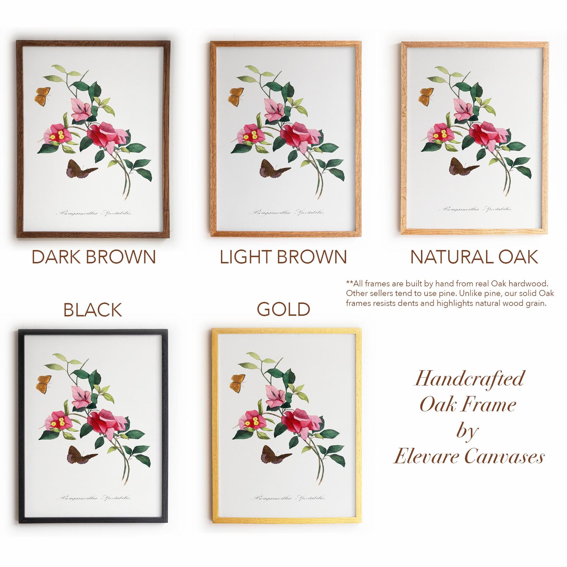 French Botanical Bougainvillea | Vintage Pink Blossom Drawing Wall Decor | Coastal Bathroom, Sunroom, or Entryway Wall Art | 26VP