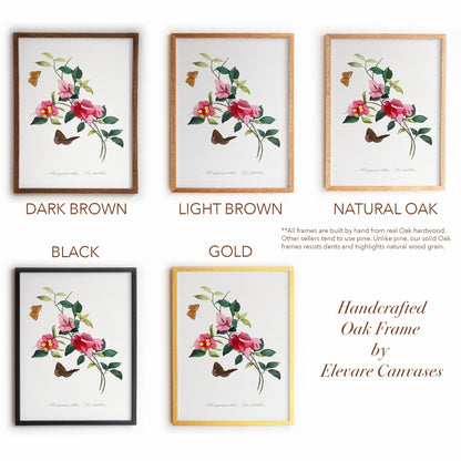 French Botanical Bougainvillea | Vintage Pink Blossom Drawing Wall Decor | Coastal Bathroom, Sunroom, or Entryway Wall Art | 26VP