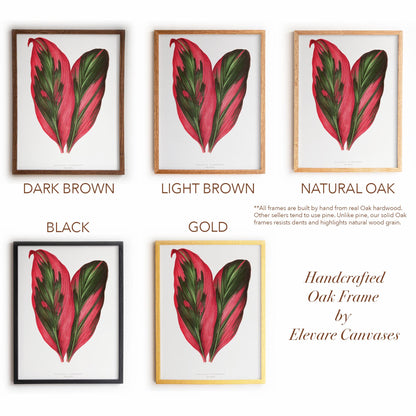 Vintage Pink Tropical Leaves Botanical Drawing | Dracaena Terminalis (Ti Plant) | Contemporary Coastal Wall Art | 27VP